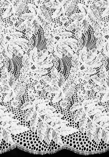 CORDED LACE - IVORY