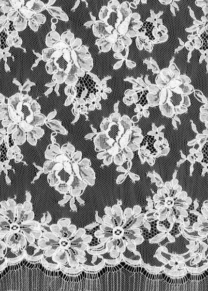 CORDED FRENCH LACE - IVORY