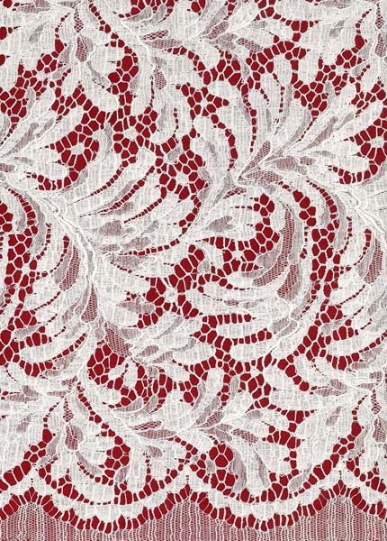 FRENCH LACE - IVORY