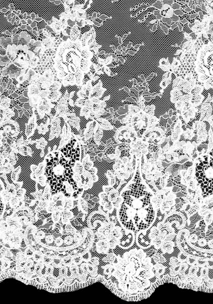 EMBROIDERED LACE - IVORY