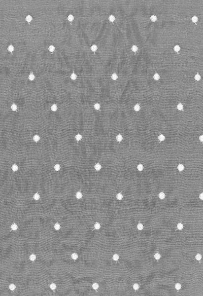 SPOT SILK ORGANZA - IVORY